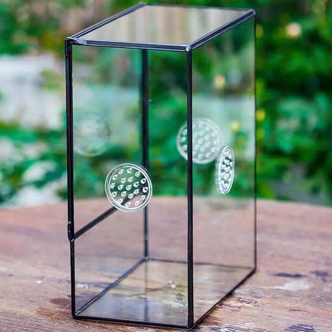 NCYP Glass Terrarium with Front Opening Door and 3 Vents for Insects, Snail, Spider, Glass Enclosure - 8"x4.5"x10" Clear Closed Plant Greenhouse Box (Terrarium Only), photo 6 of 7