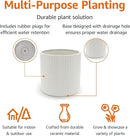 Amazon Basics Fluted Ceramic Round Planter, 8-Inch, White by GreenHaven Gardens