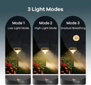 Linkind Solar Pathway Lights 8 Pack, Solar Lights Outdoor, Warm White Solar Path Lights Waterproof, Solar Lights for Walkway Yard Landscape Garden by GreenHaven Gardens