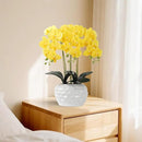 Orchid Artificial Flowers with White Vase Large Silk Faux Phalaenopsis Flowers for Dining Room Table Floral Centerpieces Indoor Decoration,Yellow by CozyNest Decor