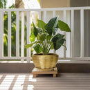 Ceramic Planter 11 Inch - Indoor Plant Pot with Drainage Hole and Saucer Large Planter for Outdoor Plants Mid-Century Decorative Flower Pot for Home Decor Gold by GreenHaven Gardens