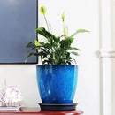 FixtureDisplays® Garden Plastic Round 11.8" Diameter 12" Tall Planter Resin Glazed Faux Ceramic Flower Pots Drainage Hole with Saucer Decorative Pot 15580-NF by CozyNest Decor