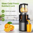 Cold Press Juicer Machines, High Nutrient Retention, 99% Juice Yield, 5.3" Wide Feed Chute for Whole Fruits & Vegetables, Quiet Slow Masticating Juicer, BPA-Free, Easy to Clean by CozyNest Decor