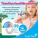 brush-baby WildOnes Kids Electric Rechargeable Toothbrush Elephant, 1 Handle, 3 Brush Heads, USB Charging Cable, for Ages 0-10 (Elephant) by TinyTreasures Baby Boutique
