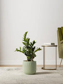 LE TAUCI Fluted Ceramic Planters Set of 3 – 8.3/7 / 5.7 in Sage Green Reactive Cylinder Indoor Plant Pots with Drainage Plug & Mesh, Glossy Stoneware Flower Pots for Succulents Herbs by CozyNest Decor