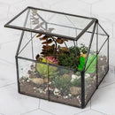 Ferrisland Glass Plant Terrarium Container Wardian Case Indoor Small Succulent Terrarium Planter w/Door for Tabletop Decor DIY - 5.0"x4.3"x4.3" by GreenHaven Gardens
