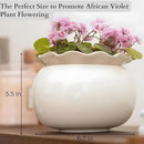 African Violet Pots 6 Inches Ceramic, Effortless Self Watering Pots for Indoor Plants for Busy Plant Lovers, Easy Plant Self Watering Pot, Plant Pots, Flower Pot, Plant pots Indoor by GreenHaven Gardens