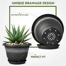8 Inch Plant Pots with Drainage Hole - Lightweight Flower Pots for Herbs and Flowers - Home Decor Plastic Planters for Indoor Outdoor Plants- Pack of 6 (Black, 8 inch) by GreenHaven Gardens