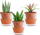 D'vine Dev 4 Inch Design Self Watering Pot for Indoor Plants, Terracotta Planter with Cylinder Glass Cup, Set of 3, 37-X-A-3 by GreenHaven Gardens