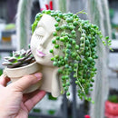 String of Pearls (4-inch), Succulents Plants Live, Succulent Plants Fully Rooted in Pots with Soil, Easy-Care House Plant for DIY, Home Office Decor, Wedding Party Favor by GreenHaven Gardens
