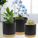 5 Pack Cylindrical Flower Pots with 7/6.5/6/5/4 inch, Modern Small Plastic Plant Pots with Drainage Holes & Saucers, Round Planter Pots for Outdoor, Indoor & Office Decor (Black Brown) by GreenHaven Gardens