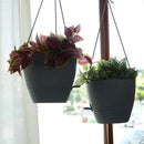 10 Inch Self Watering Hanging Pots, 2 Pack Hanging Planters with 40oZ Deep Reservior for Indoor Outdoor Plants Flowers, Grey by GreenHaven Gardens