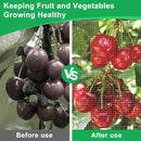 Garden Netting Pest Barrier, 6.5 X 16.4FT Insect Netting for Garden Raised Beds, Garden Bug Netting Plant Mesh for Blueberry Bushes, Figs, Plants, Vegetables Protection by GreenHaven Gardens