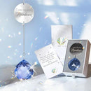 Memorial Gifts for Loss of Loved One, Unique Sympathy Gift Idea Navy Blue Crystal Ball Window Suncatcher, Rainbow Bereavement Grief Gift Box for Loss of Mom Dad Husband Son Daughter by GreenHaven Gardens