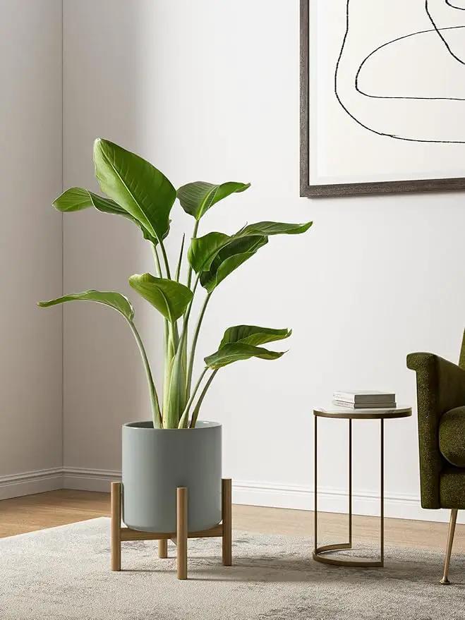 LE TAUCI Ceramic Plant Pots Indoor, 10+8+6 Inch Planters for Indoor Plants, Mid-Century Modern Flower Pots with Drainage Hole and Plug, Cylinder Round Planters, Set of 3, Blue Gray, photo 3 of 7