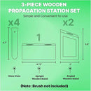 Plant Propagation Station - 3-Piece Wooden Stand with 4 Glass Test Tubes, Terrarium Vases for Plants, Hydroponic Propagation Planter for Home office Decor, Plant Lover Gift. by GreenHaven Gardens