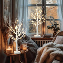 2ft Lighted Indoor & Outdoor Birch Tree by EP Designlab LLC