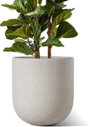 LE TAUCI 12 Inch Pots for Plants, Ceramic Large Planters for Indoor Plants, Indoor Plant Pots for Home Garden Patio Office, Planter Pots with Drainage Hole and Rubber Plug, Neutral Gray by GreenHaven Gardens