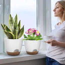 Plant Pots 10/9/8/7.5/7 Inch Self Watering Pots, Set of 5 Plastic Planters with Drainage Holes and Saucers,Plastic Flower Pots,Nursery Planting Pot for Indoor Out Door Plants（White） by CozyNest Decor