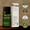 Gya Labs Blue Tansy Essential Oils for Skin - 0.17 Fl Oz - 100% Pure Natural Organic Blue Tansy Oil for Face, Diffuser, Candle Making Scent by CozyNest Decor