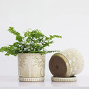 6 Inch Indoor Plant Pots with Drainage Holes and Saucers, Ceramic Planter for Plants, Flower Pot - Set of 2 by CozyNest Decor