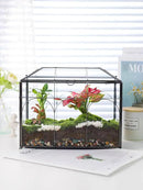 Handmade Glass Planter Terrarium with Lid, Indoor Tabletop Centerpiece Display Box Modern Decor DIY Gift Plant Terrarium Container for Succulent Cacti Air Plants Flower (Black) by GreenHaven Gardens