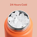 Insulated Water Bottle with Straw Stainless Steel Water Bottle, Leak-Proof, BPA-Free, Double Wall Vacuum Keeps Cold for 24 Hours for Sports, Travel, School (32 oz, Moderate Orange) by CozyNest Decor