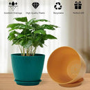 Plant Pots – 6 Inch Planters with Drainage Holes and Saucers, Flower Pots for Indoor and Outdoor Plants, Nursery Planting Pots (Pack of 5, Multicolor) by GreenHaven Gardens