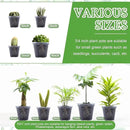 Vesici Large Size Clear Nursery Pots Variety Pack Plant Pots with Drainage Holes Planters for Indoor Plants Flexible Transparent Plastic Plant Bottle Succulents(32 Pcs,3/4/5/6/7 Inch) by GreenHaven Gardens