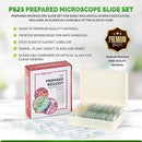 AmScope 25pc Prepared Glass Microscope Slides in Plastic Case with Plant, Fungus, Insect and Mammal Specimens by TinyTreasures Baby Boutique