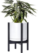 D'vine Dev Ceramic Planter with Ebony Stand - 10 Inch Modern Round Flower Pot with Wood Planter Holder, White, 55-B-L-1 by CozyNest Decor