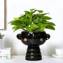 Face Planter - 7 Inch Ceramic Head Planters for Indoor Plants Outdoor, Cute Succulent Pots with Drainage Hole, Decorative Plant Pot, Home Office Room Decor, Black by GreenHaven Gardens
