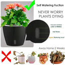 Self-Watering Pots for Indoor Plants, 6-Pack 6.7'' Self Watering Planter with Drainage Holes, Small African Violet Pots with Water Indicator, Clear Wick Pot, Black by CozyNest Decor