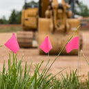 Zozen 100Pack Fluorescent Pink Marking Flags, Writable/15x4x5 Inch, Yard Flags for Lawn & Irrigation & Landscape & Sprinkler & Survey & Dog Training. by GreenHaven Gardens