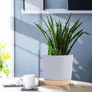 QCQHDU 6.5 inch Plant Pot, 2 Pack Planters for Indoor Plants with Drainage Holes & Saucer, Outdoor Flower Pots Home Garden Modern Decor by GreenHaven Gardens