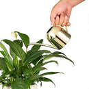 IMEEA Gold Watering Can for Indoor Plants, Orchid, Bonsai - Stainless Steel With Long Spout for House, Desk, Office - 15oz/450ml by GreenHaven Gardens