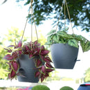 10 Inch Self Watering Hanging Pots, 2 Pack Hanging Planters with 40oZ Deep Reservior for Indoor Outdoor Plants Flowers, Grey by GreenHaven Gardens