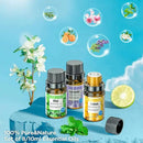 Aroma Diffuser with Essential Oils Set, 500 ML Essential Oil Diffuser with Remote Control, Humidifier with 14 Color Lights for Large Room, 4 Timer Setting, Auto Shut-Off by CozyNest Decor