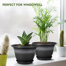 8 Inch Plant Pots with Drainage Hole - Lightweight Flower Pots for Herbs and Flowers - Home Decor Plastic Planters for Indoor Outdoor Plants- Pack of 6 (Black, 8 inch) by GreenHaven Gardens