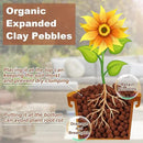 Riare 4 LBS Organic Expanded Clay Pebbles for Plants- 4mm-16mm Natural Leca Balls Lightweight Hydroponic Clay Pebbles Aggregate for Indoor Plants, Hydroponic Growing, Plants Drainage, Aquaponics by GreenHaven Gardens