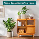 vancasso Ceramic Planters, Plant Pots for Indoor Plants, 6.25+8.25+10.25 Inch Ceramic Pots for Plants, Flower Pots with Drainage Holes (Gray, 6.25+8.25+10.25 Inch) by CozyNest Decor