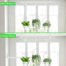 DOUBFIVSY Hanging Planters for Indoor Plants Plant Hanger, Adjustable Hanging Window Planter Hanging Wall Planter for Garden, 25in Plant Shelves Metal Holder Rod with Pots (White) by GreenHaven Gardens