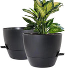 WOUSIWER 10 inch Self Watering Planters, 2 Pack Large Plastic Plant Pots with Deep Reservior and High Drainage Holes for Indoor Outdoor Plants and Flowers, Black by GreenHaven Gardens