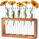 Desktop Glass Plant Propagation Station with 5 Test Tubes in Wooden Stand - Hydroponic Plants Cutting Office Home Decoration and Garden Decor Terrarium (5 Tubes) by GreenHaven Gardens