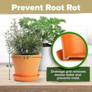 HOME GROWN 𝗣𝗥𝗘𝗠𝗜𝗨𝗠 𝗛𝗘𝗥𝗕 𝗞𝗜𝗧 8 Herb Seeds Garden Kit, Complete Indoor Planter Gift with Basil Cilantro Mint & More, Unique Kitchen Growing Set for Women Men, Birthday Housewarming Present by GreenHaven Gardens