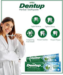 Vasu Dentup Herbal Neem Toothpaste | Ayurvedic Gum Care Toothpaste for Cavity Protection, Gum Strength, Fresh Breath | Fluoride-Free Natural Oral Care – 100g Each (Pack of 2) by CozyNest Decor