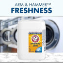 Arm & Hammer Liquid Laundry Detergent Professional, Clean Burst, 5 Gallon (Pack of 1) 640 Loads by CozyNest Decor