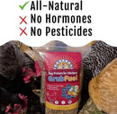 Grub Fuel Black Soldier Fly Larvae for Chickens - Nutrient Packed BSFL, Sustainably Sourced Snack for Poultry, Rich in Protein, Calcium, Fiber, Essential Fatty Acids, USA Grown (5LB) by GreenHaven Gardens