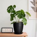 Ceramic Plant Pot - 8 Inch Ceramic Planter for Indoor Plants Glazed Round Flower Pot with Drainage Hole and Saucer Black by GreenHaven Gardens