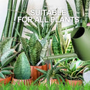 WhaleLife Indoor Watering Can for House Bonsai Plants (2.0L, Green) by GreenHaven Gardens